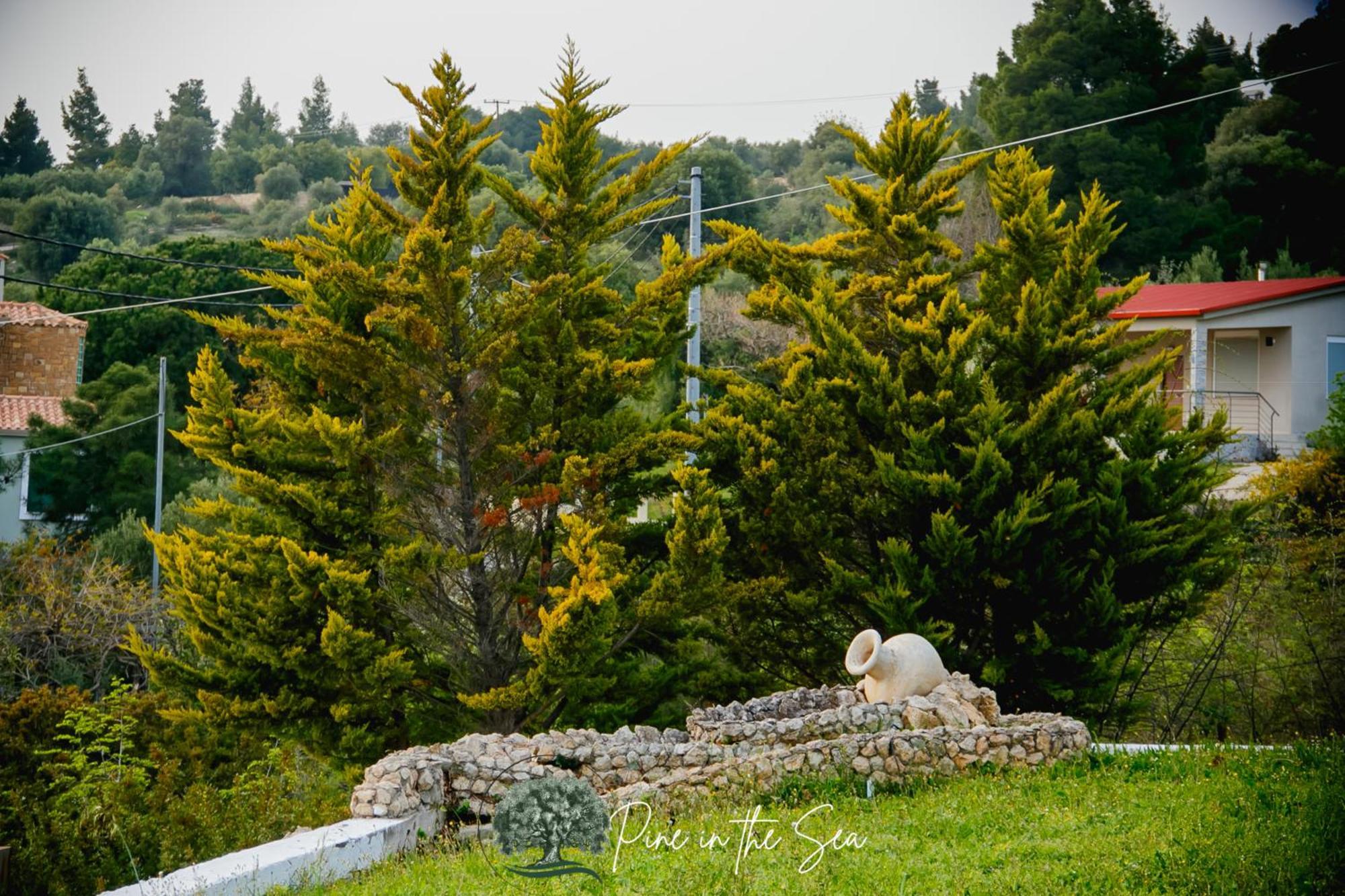 Pine In The Sea Nikiti-Sithonia Apartment Екстериор снимка